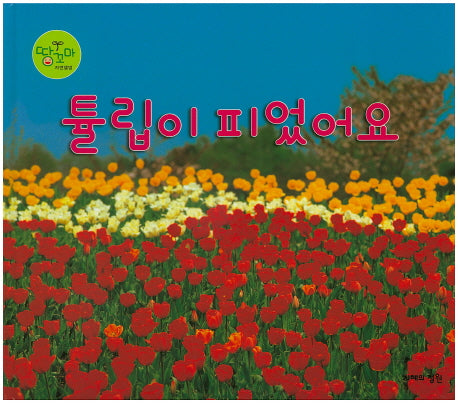 튤립이 피었어요(땅꼬마 자연앨범 32)(양장본 HardCover)