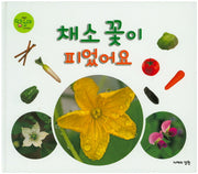 채소 꽃이 피었어요(땅꼬마 자연앨범 37)(양장본 HardCover)