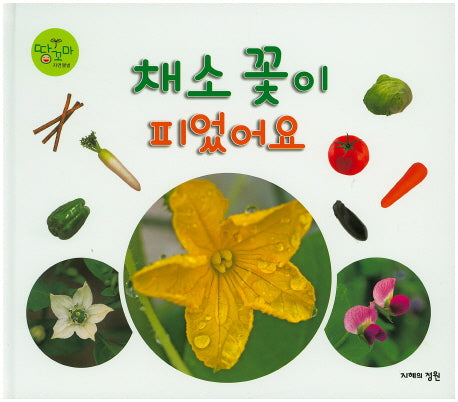 채소 꽃이 피었어요(땅꼬마 자연앨범 37)(양장본 HardCover)