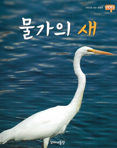 물가의 새(사진으로 보는 동물원 재미 Zoo 13)(양장본 HardCover)