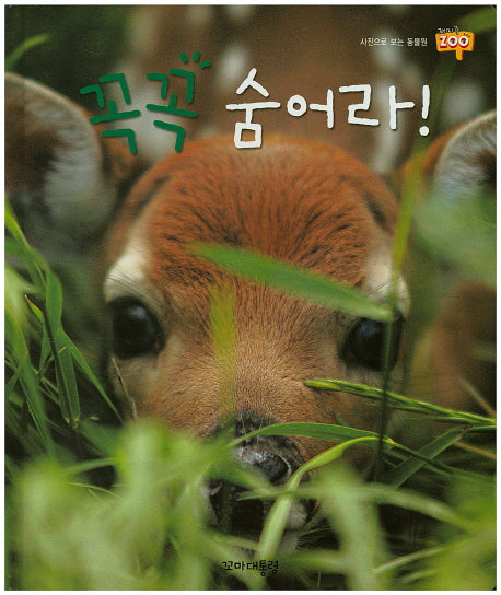 꼭꼭 숨어라!(사진으로 보는 동물원 재미 Zoo 24)(양장본 HardCover)