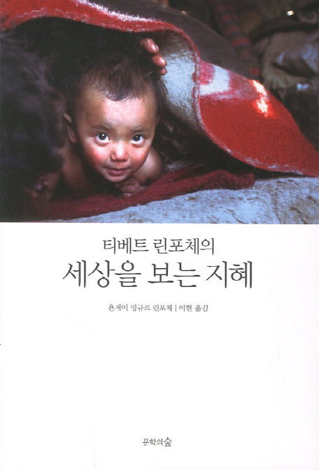 세상을 보는 지혜(티베트 린포체의)(반양장)