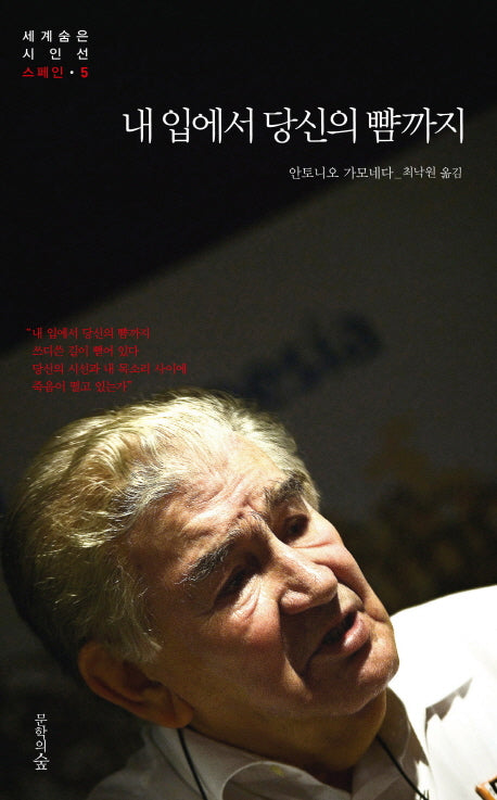 내 입에서 당신의 뺨까지(세계숨은시인선 5: 스페인)
