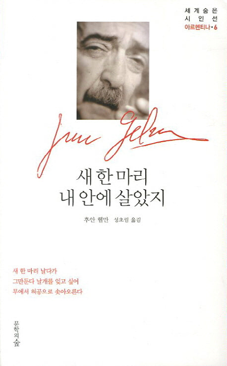 새 한 마리 내 안에 살았지(세계숨은시인선 6: 아르헨티나)