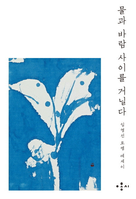 물과 바람 사이를 거닐다