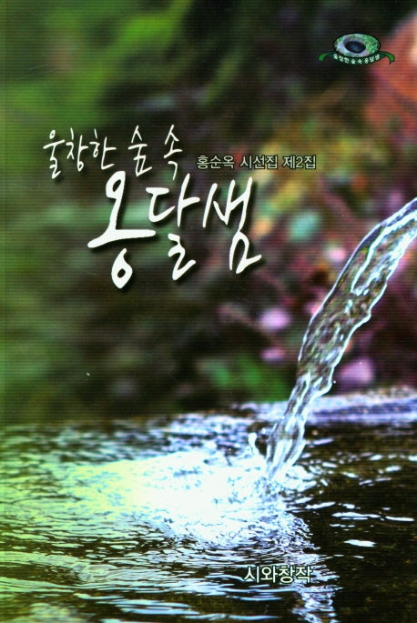 울창한 숲 속 옹달샘