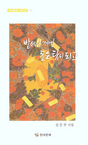 밭에서 꺼낸 돌은 탑이되고(현대문예 작가선 172)