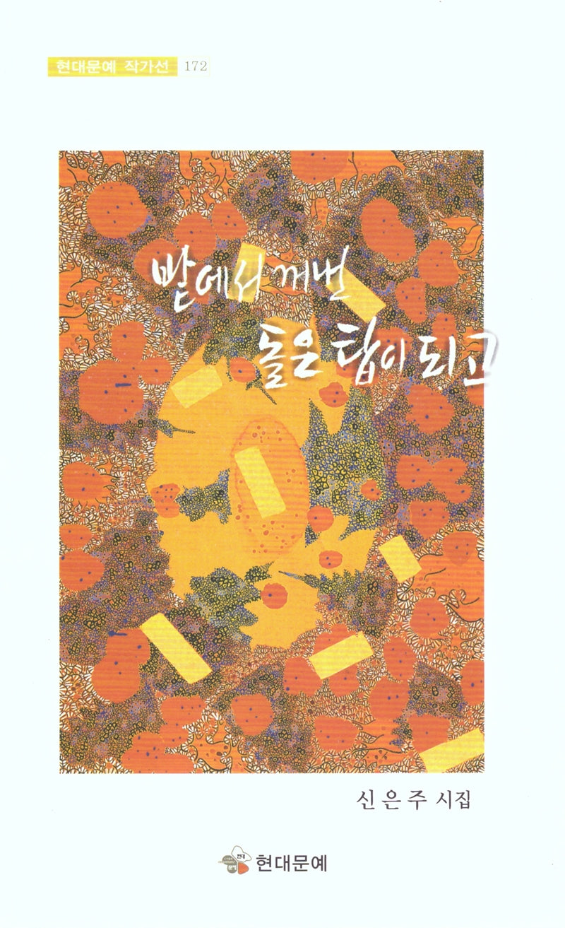 밭에서 꺼낸 돌은 탑이되고(현대문예 작가선 172)