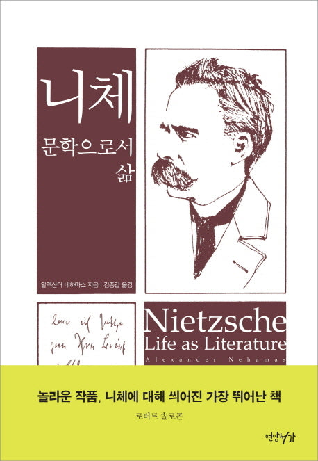 니체: 문학으로서 삶