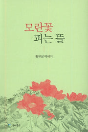 모란꽃 피는 뜰