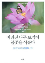 버려진 나무 토막이 불꽃을 이룬다