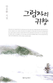 그림자의 귀향