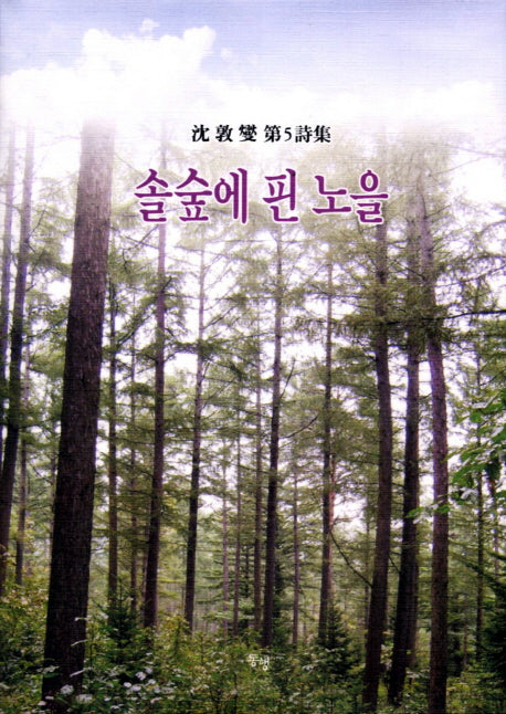 솔숲에 핀 노을(양장본 HardCover)