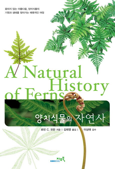양치식물의 자연사