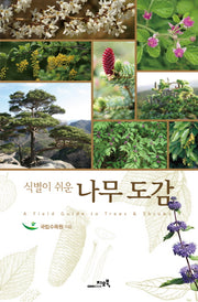 나무도감(식별이 쉬운)