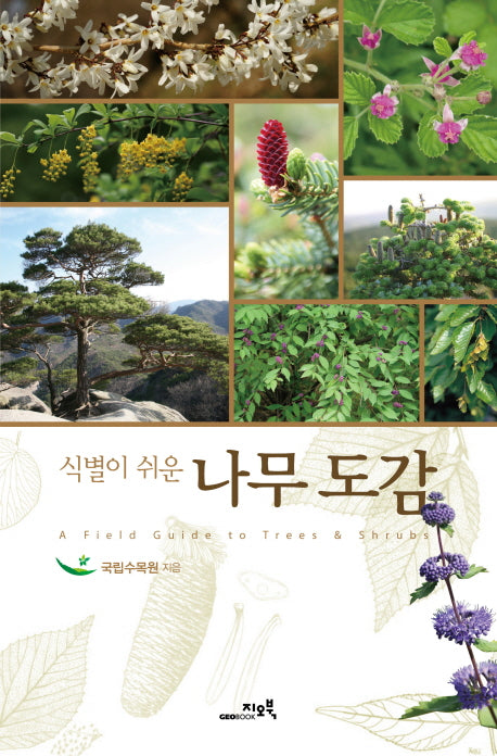 나무도감(식별이 쉬운)