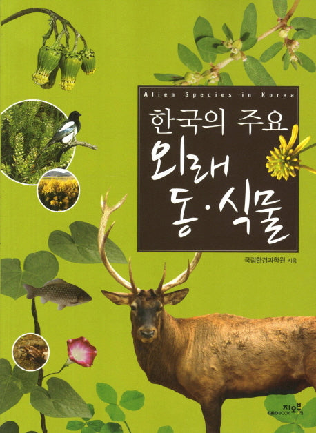 한국의 주요 외래 동 식물