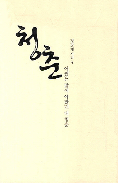청춘: 어쨌든 많이 아팠던 내 청춘