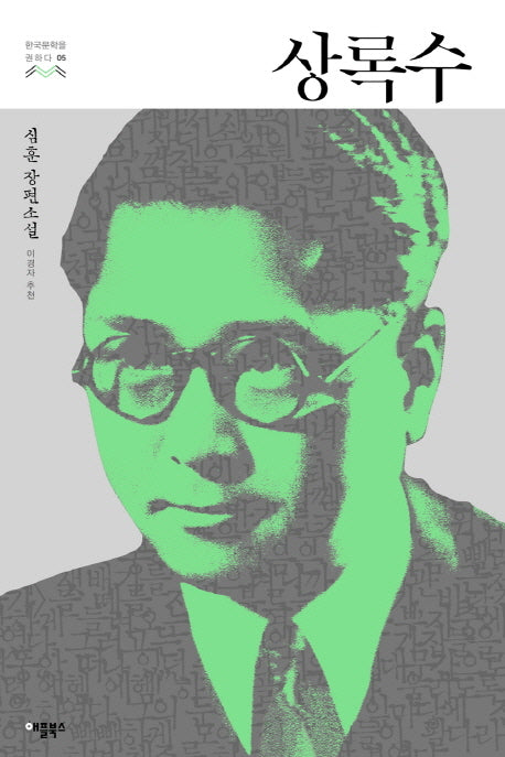 상록수(한국문학을 권하다 5)