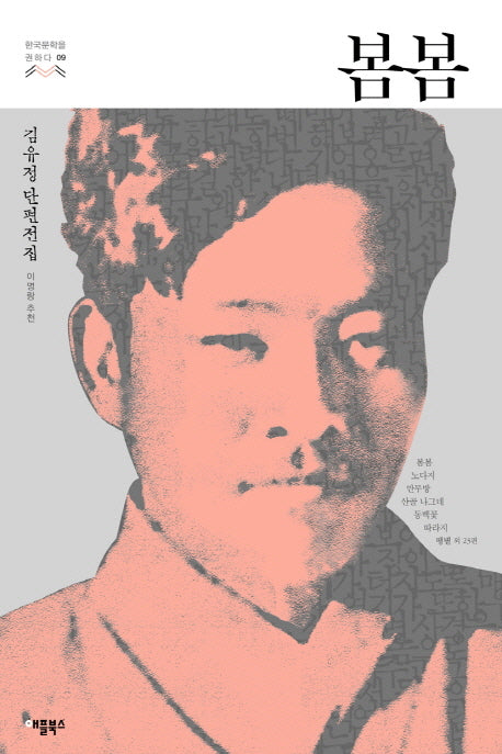 봄봄(한국문학을 권하다 9)