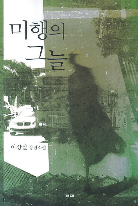미행의 그늘