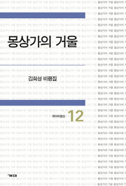 몽상가의 거울(개미비평선 12)