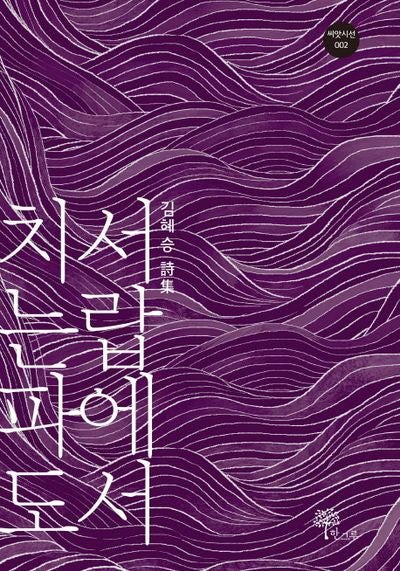 서랍에서 치는 파도(씨앗시선 2)