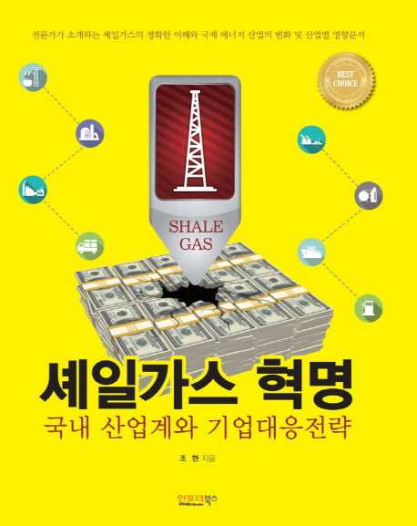 셰일가스 혁명 국내 산업계와 기업대응전략