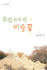 움집 위에 핀 이슬꽃(청어시인선 22)