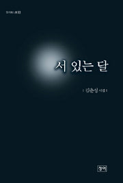 서 있는 달(청어시인선 83)