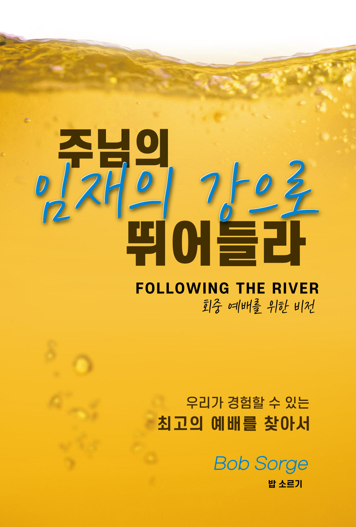 주님의 임재의 강으로 뛰어들라: 회중 예배를 위한 비전