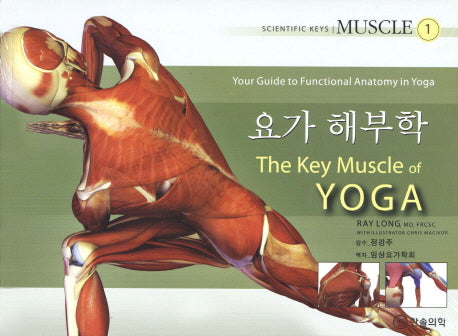 요가 해부학 1: MUSCLE