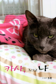 카사 그리고 나