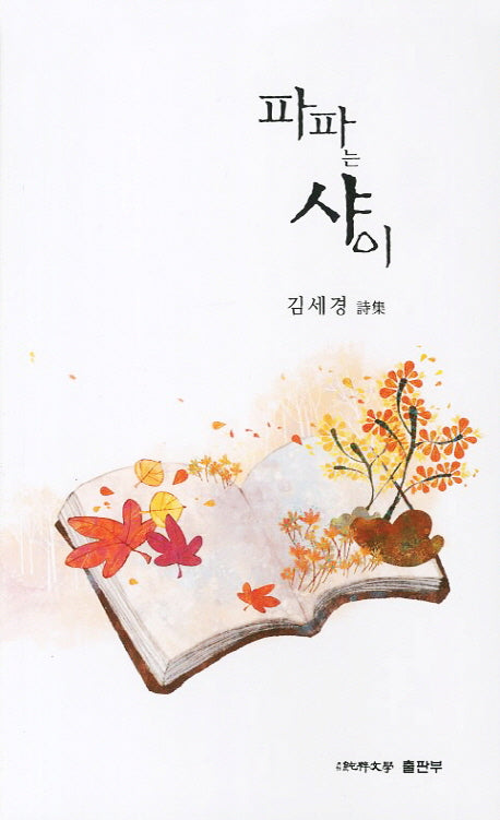 파파는 샤이(순수시선 466)