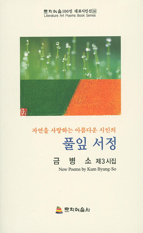 풀잎 서정(자연을 사랑하는 아름다운 시인의)(문학예술100인 대표시인선 56)