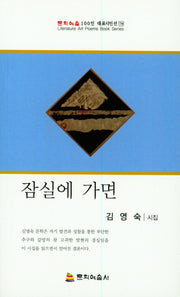 잠실에 가면(문학예술100인 대표 시인선 79)
