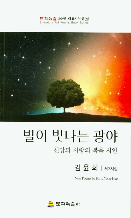 별이 빛나는 광야(문학예술 100인 대표시인선 93)