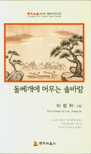 돌베개에 머무는 솔바람(문학예술 100인 대표시인선 96)