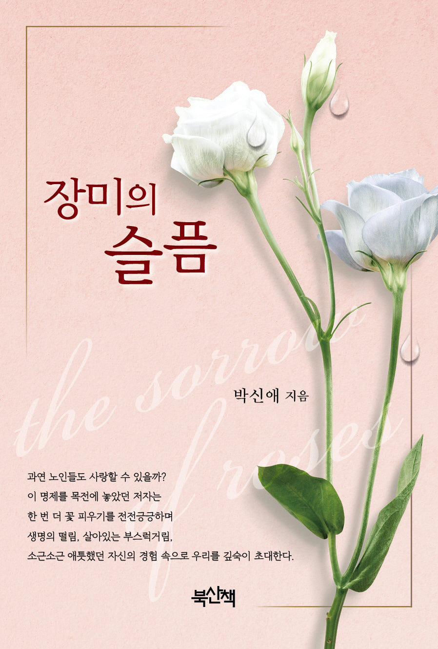 장미의 슬픔