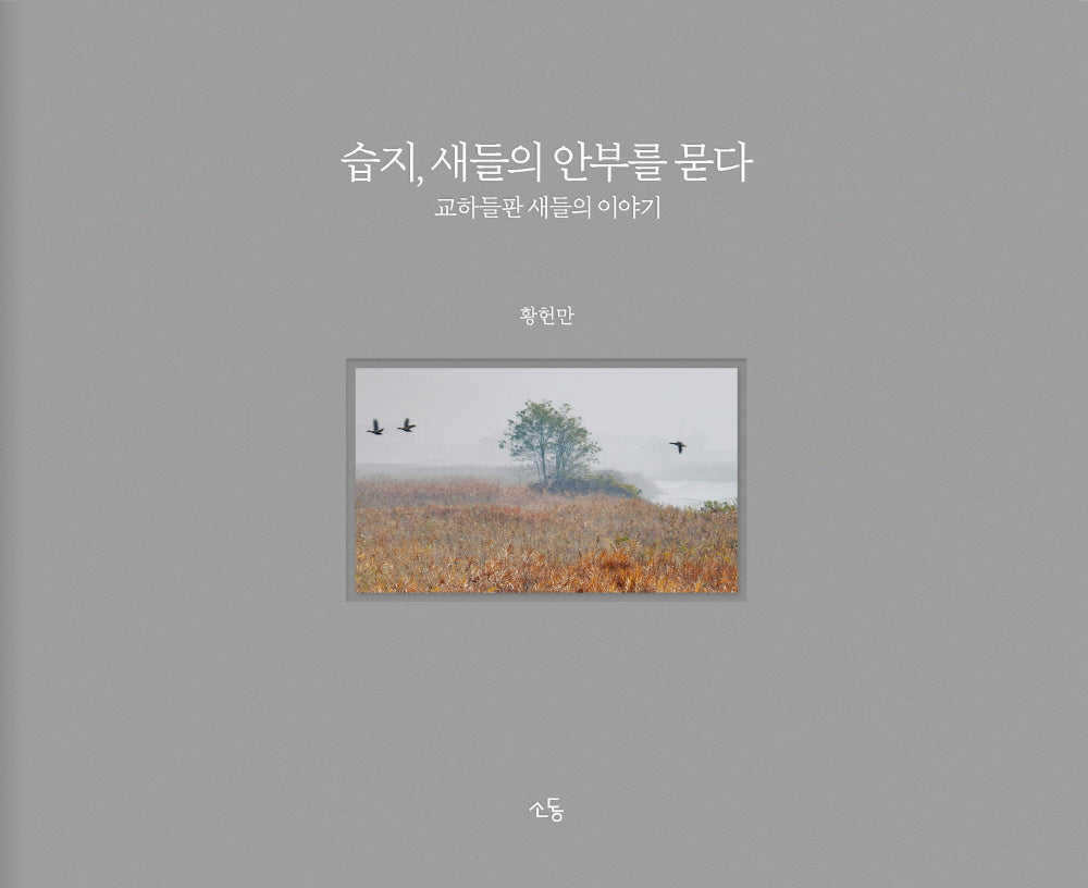 습지, 새들의 안부를 묻다(양장본 Hardcover)