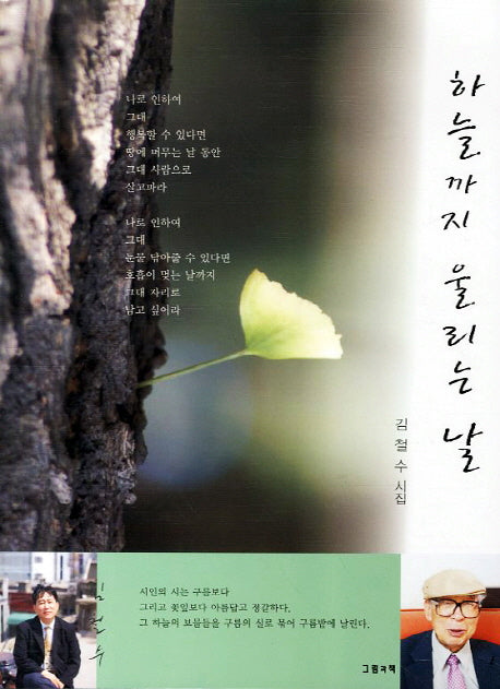 하늘까지 울리는 날(그림과책 시선 113)