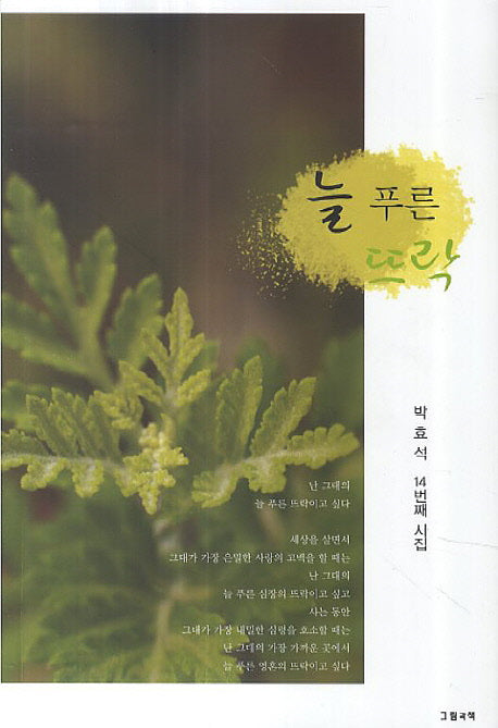늘 푸른 뜨락