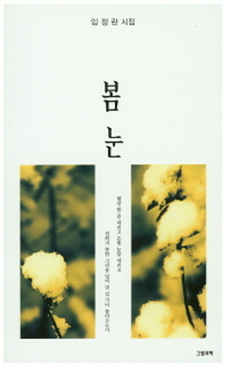 봄 눈(그림과책 시선 139)
