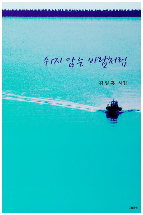 쉬지 않는 바람처럼(그림과책 시선 149)