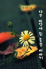 나무 바닥에 핀 들꽃 이야기(그림과책 시선 153)