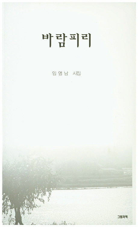 바람피리(그림과책 시선 170)