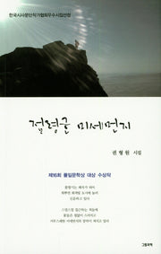 점령군 미세먼지