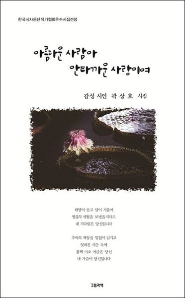 아름다운 사람아 안타까운 사랑이여(그림과책 시선 199)