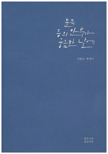 문득 등의 안부가 궁금한 날에
