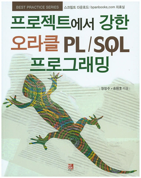 프로젝트에서 강한 오라클 PL/SQL 프로그래밍(베스트 프랙티스 시리즈)